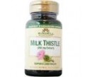 milk thistle tabl..