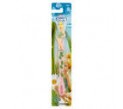 oral b toothbrush..