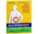 salonpas patch ho..
