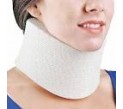 fla cervical colr..
