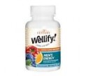 wellify mens ener..