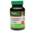 pet nc coprpphagi..
