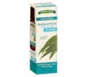 nat tru eucalyptu..